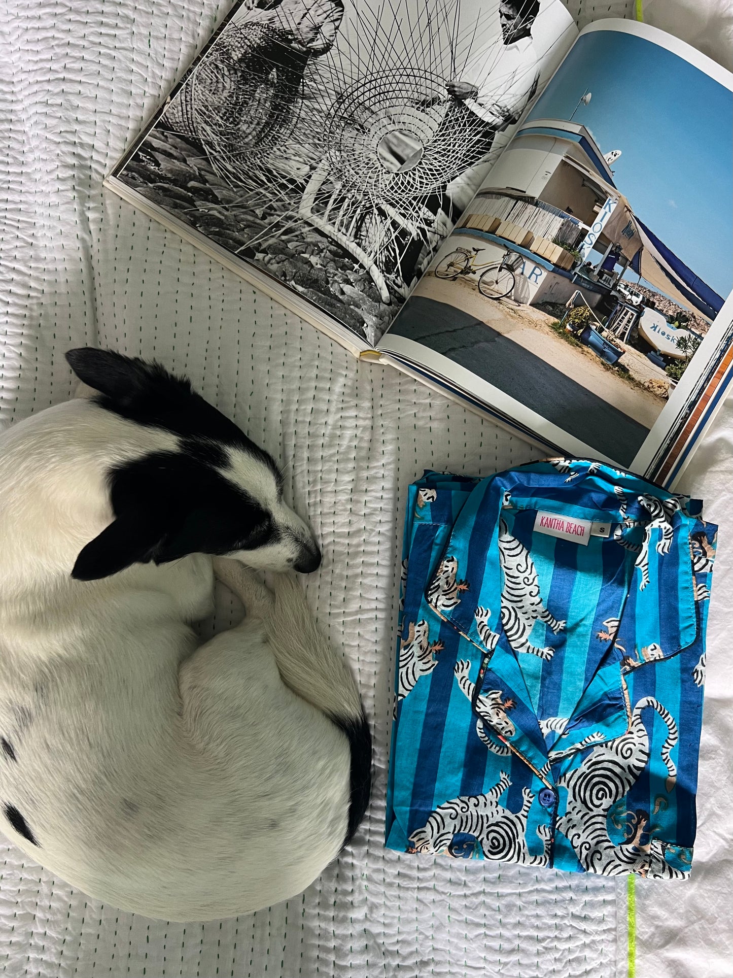 PYJAMAS ~ Tiger Tiger ~ Cobalt Cool